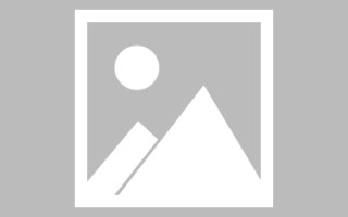 安陆贝因美网站制作冰淇淋（贝因美新零售怎么加盟）